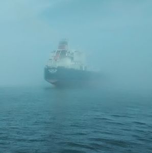 Meet your Posher, Deana